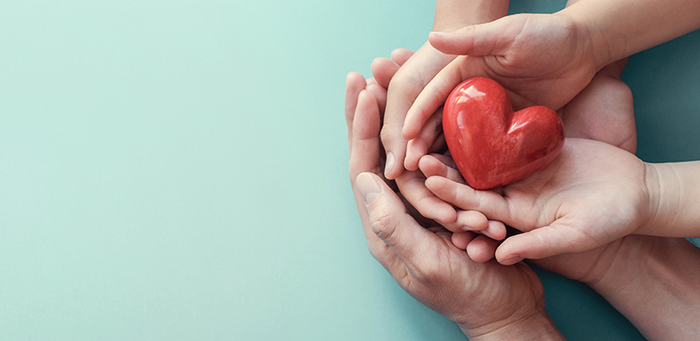 A Guide for Catholic Schools